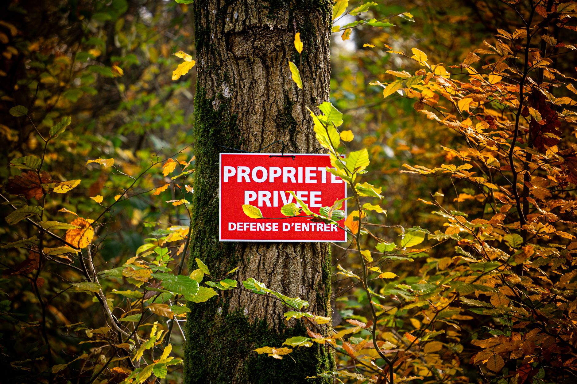 détective privé Marne